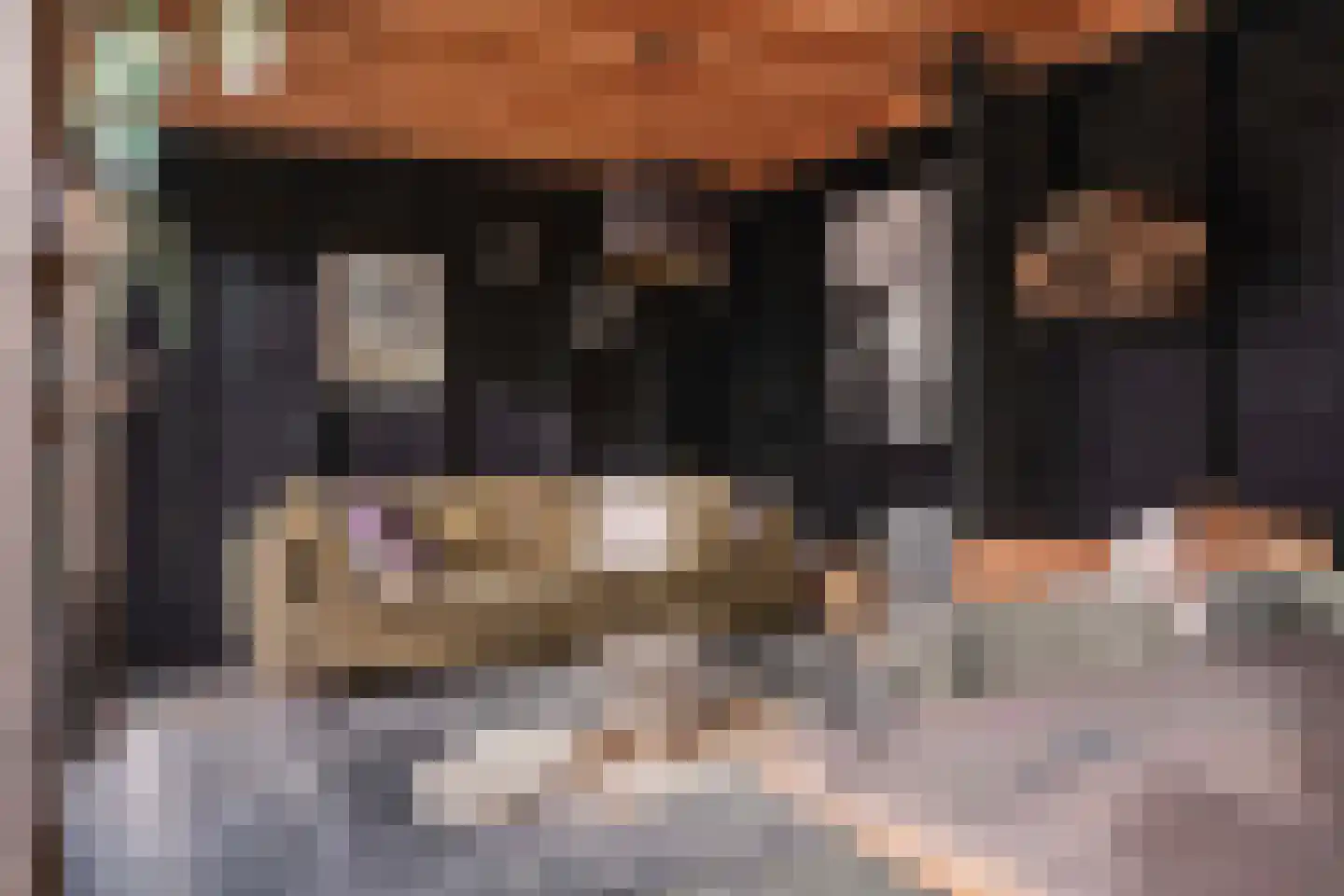 Damweg 27 Schoorl thumbnail 34