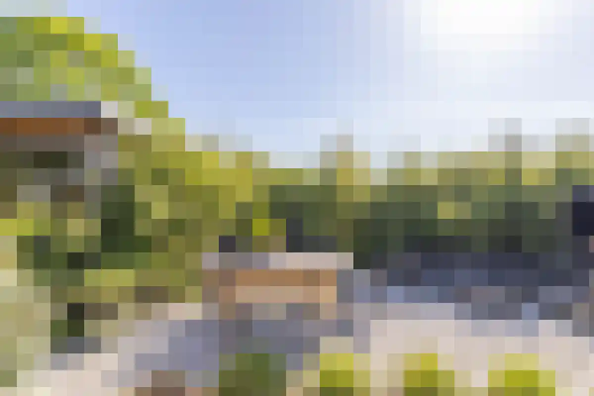 Damweg 27 Schoorl thumbnail 35