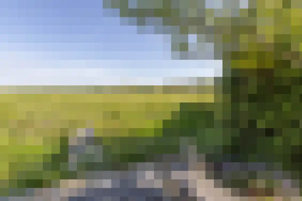 Damweg 27 Schoorl thumbnail 38