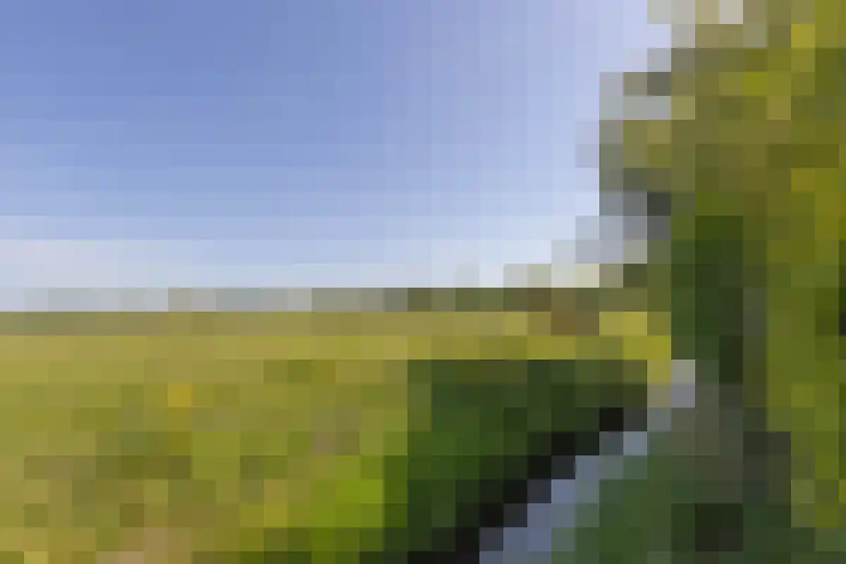 Damweg 27 Schoorl thumbnail 39