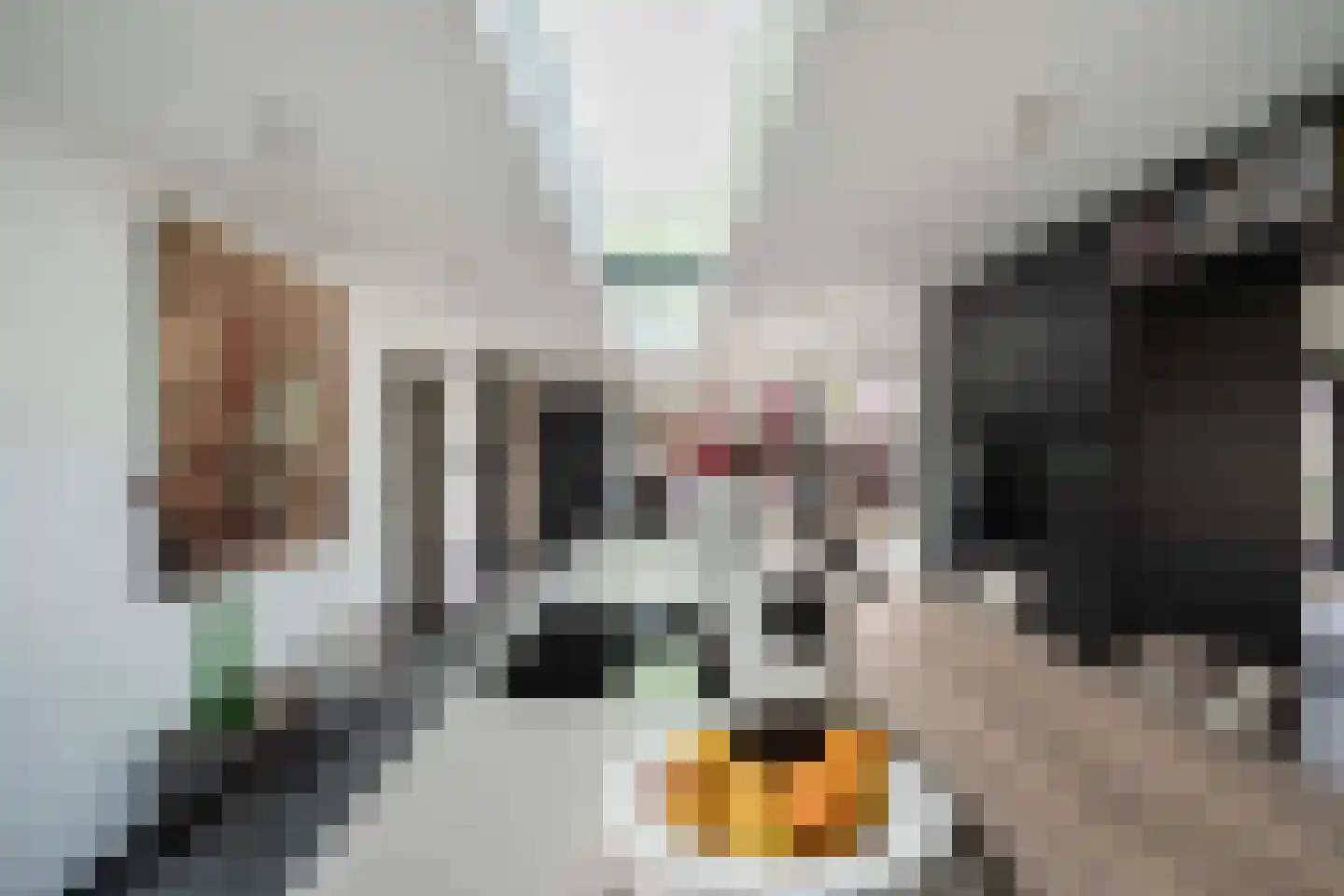 Damweg 27 Schoorl thumbnail 4
