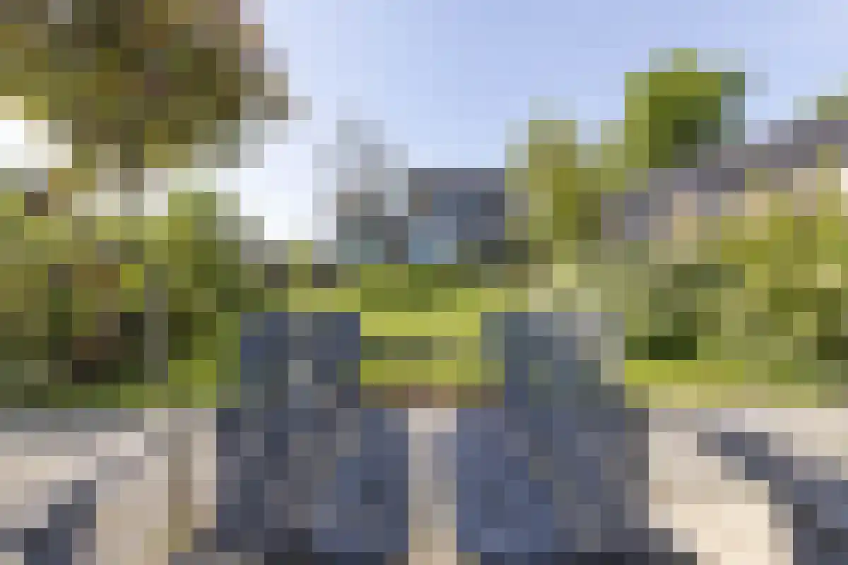 Damweg 27 Schoorl thumbnail 40
