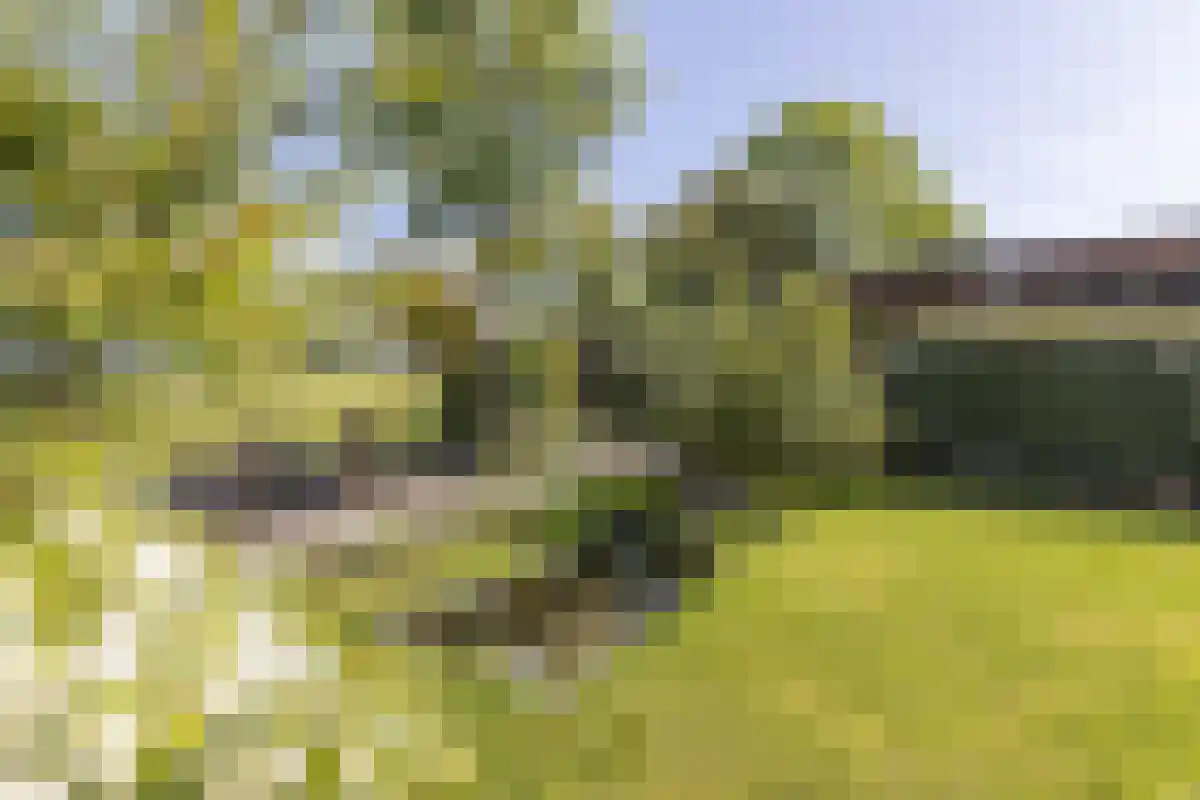 Damweg 27 Schoorl thumbnail 41