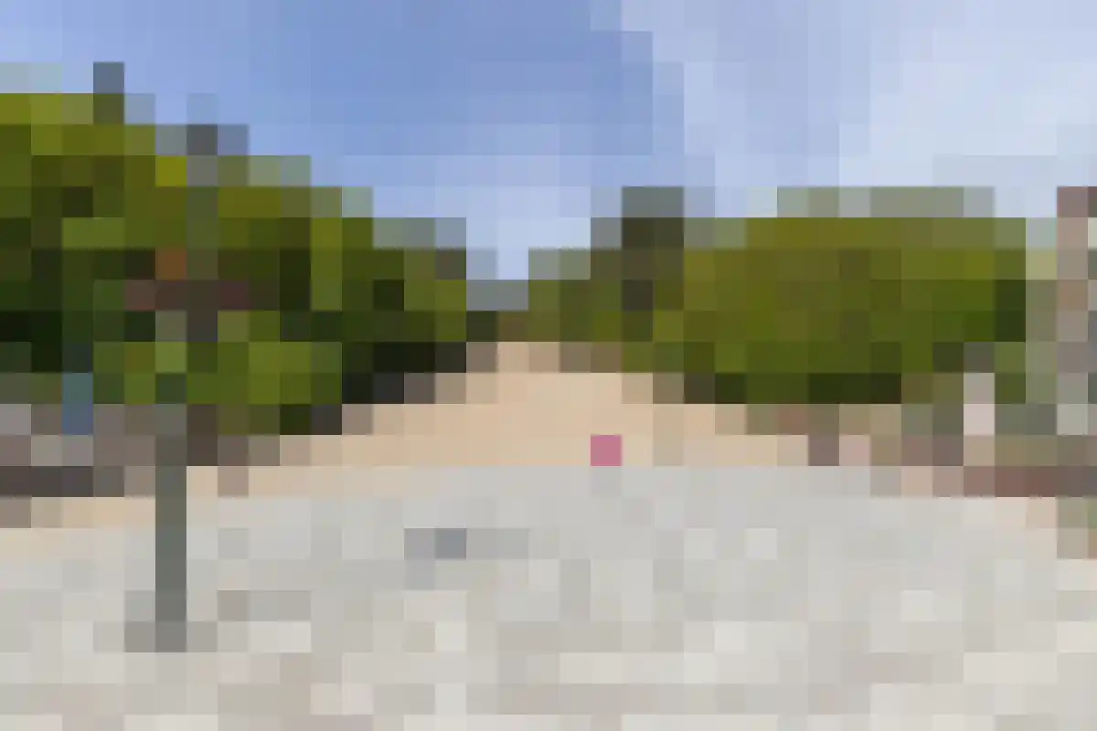 Damweg 27 Schoorl thumbnail 44