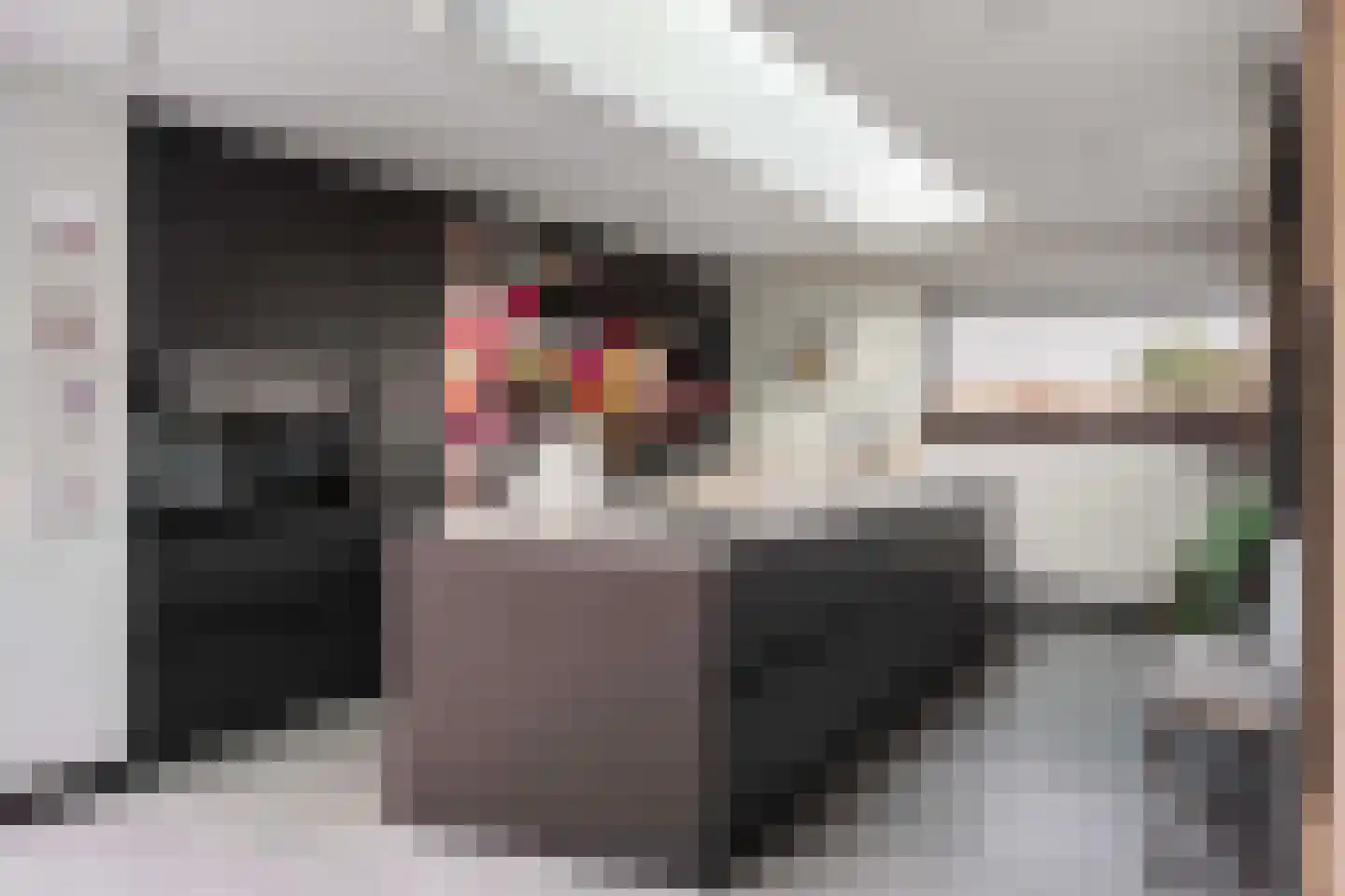 Damweg 27 Schoorl thumbnail 6