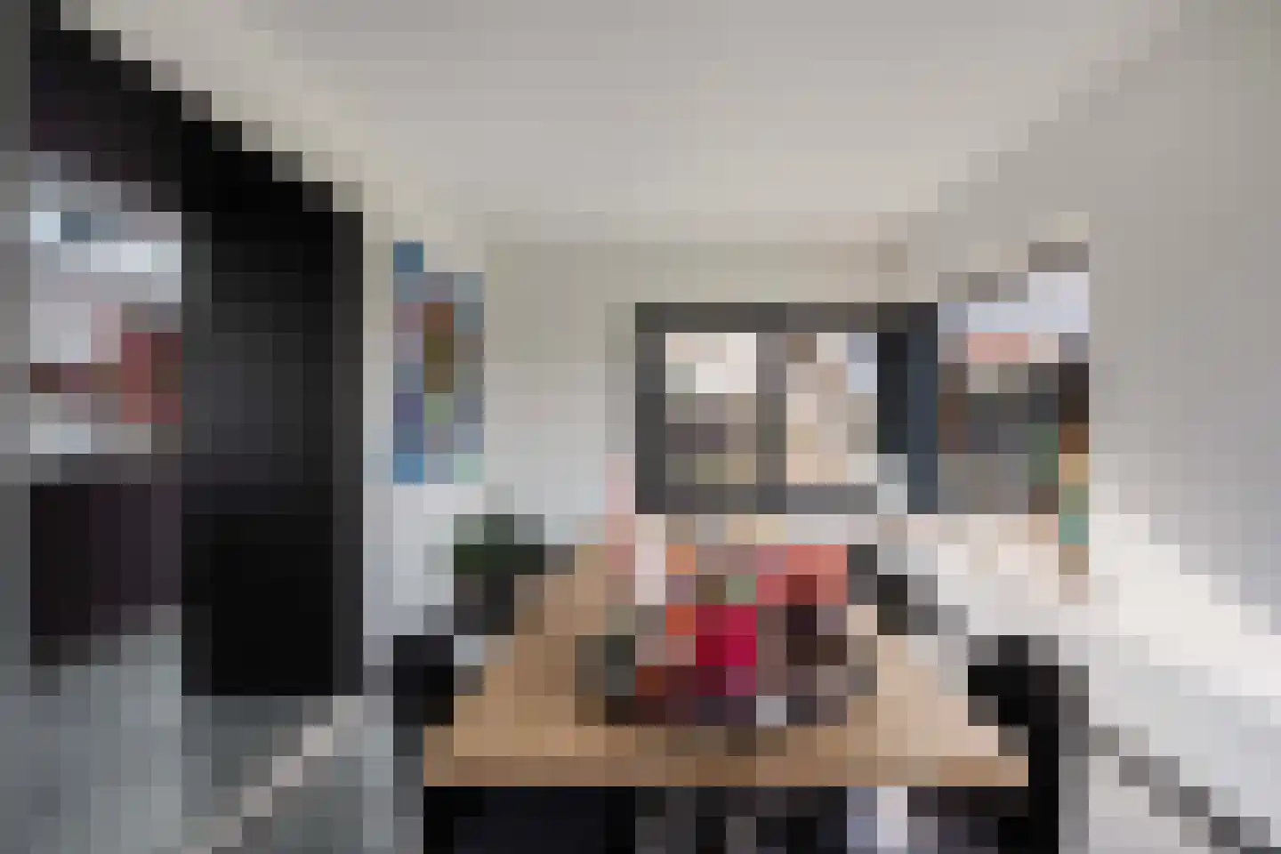 Damweg 27 Schoorl thumbnail 8