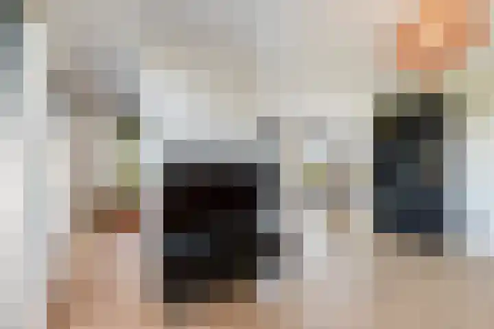 Damweg 480 A Benschop thumbnail 12