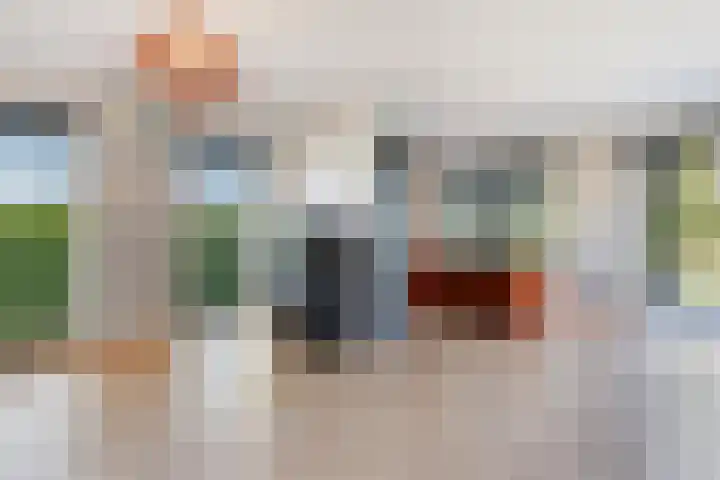 Damweg 480 A Benschop thumbnail 13