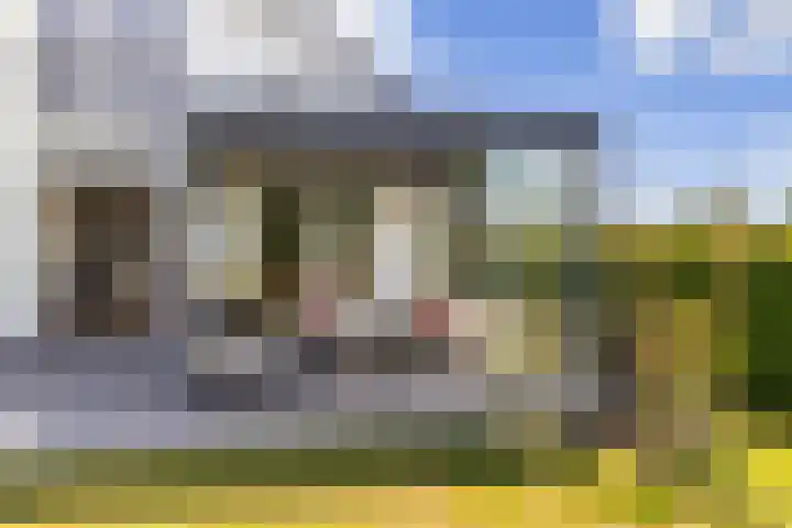 Damweg 480 A Benschop thumbnail 17