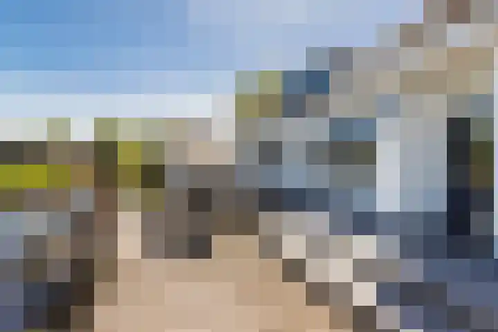 Damweg 480 A Benschop thumbnail 22