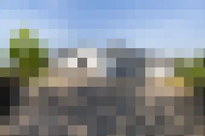 Damweg 480 A Benschop thumbnail 4