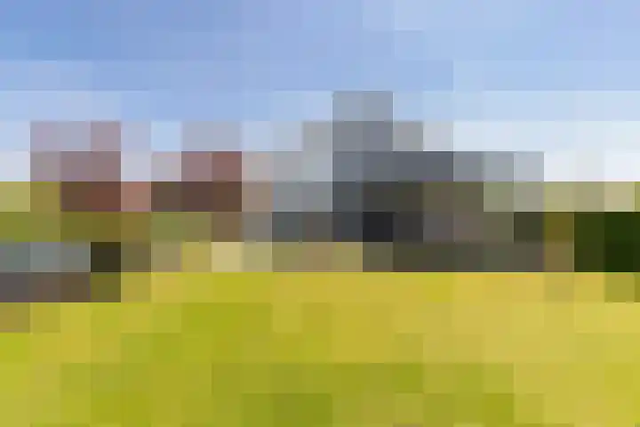 Damweg 480 A Benschop thumbnail 5