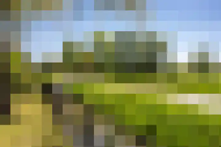 Damweg 480 A Benschop thumbnail 53