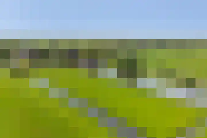 Damweg 480 A Benschop thumbnail 54