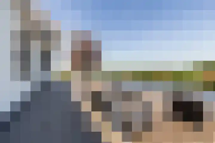 Damweg 480 A Benschop thumbnail 6