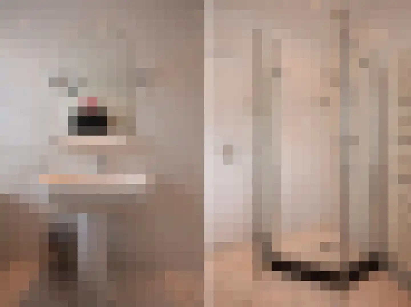 Damweg 5 Zwartebroek thumbnail 12