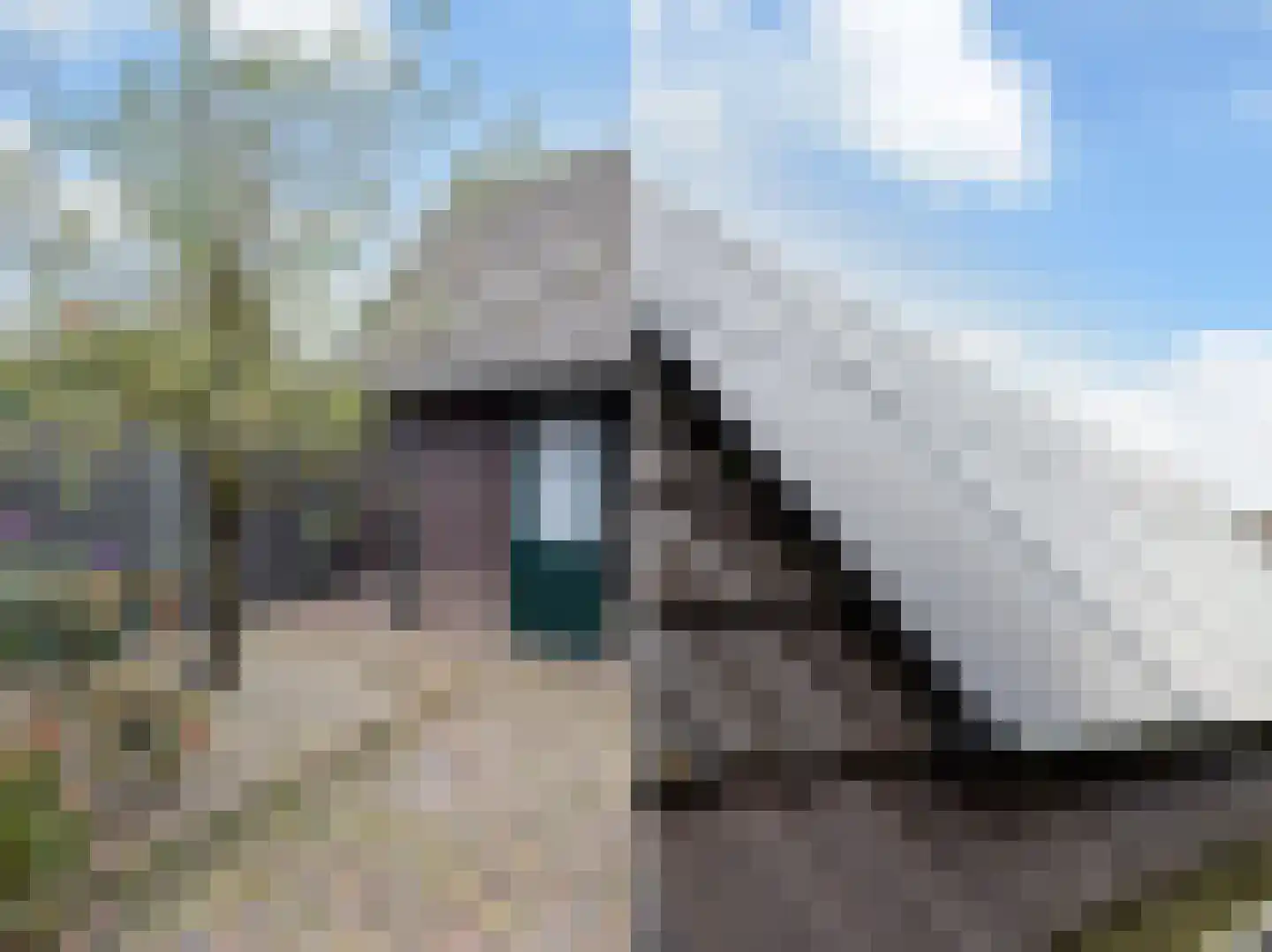Damweg 5 Zwartebroek thumbnail 22