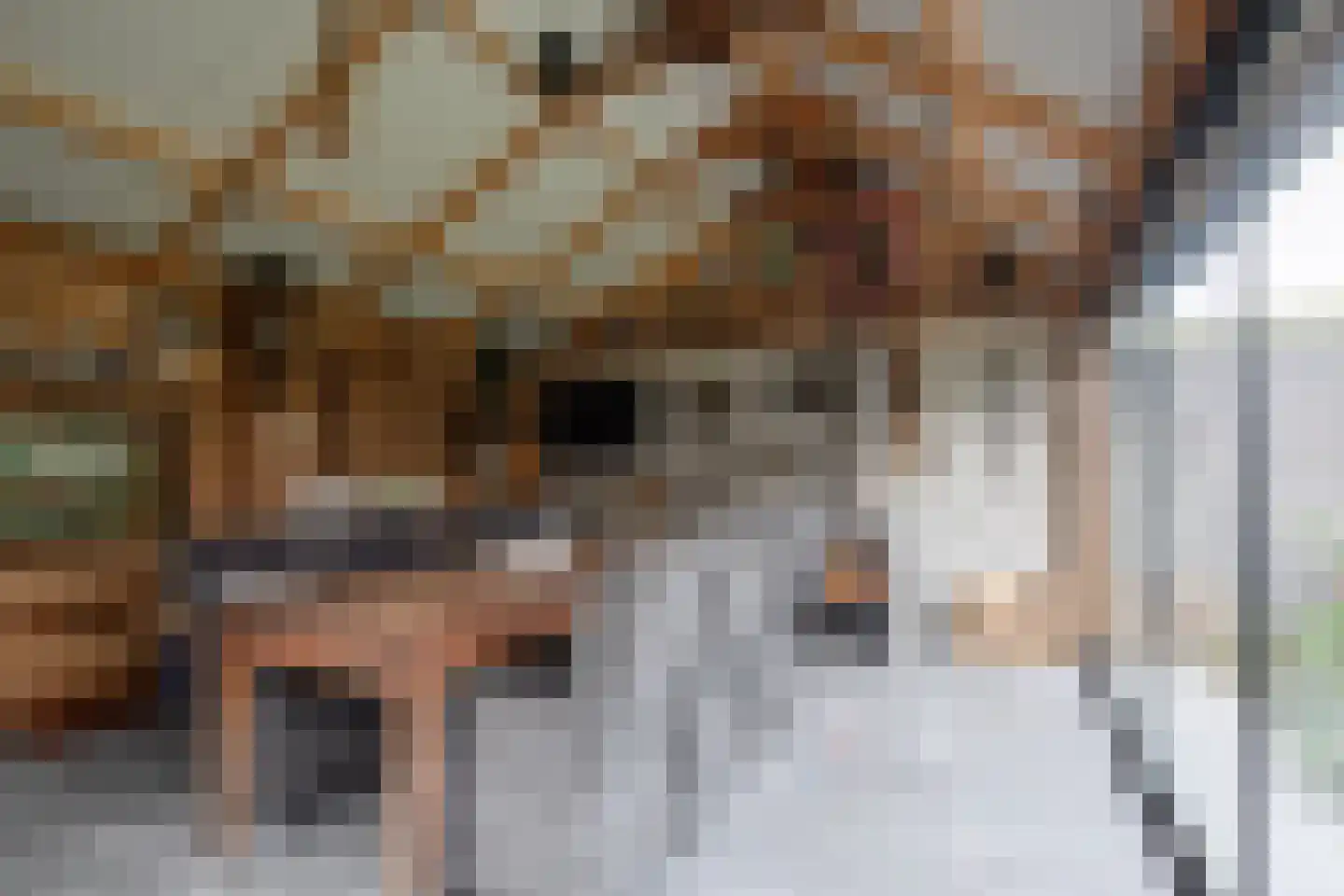 Damweg 5 Zwartebroek thumbnail 24