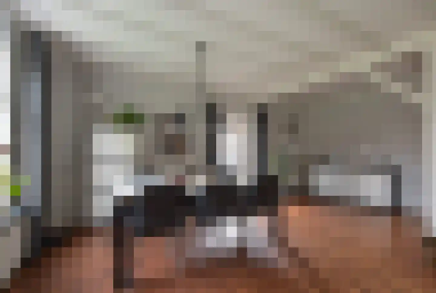 Damweg 5 Zwartebroek thumbnail 7