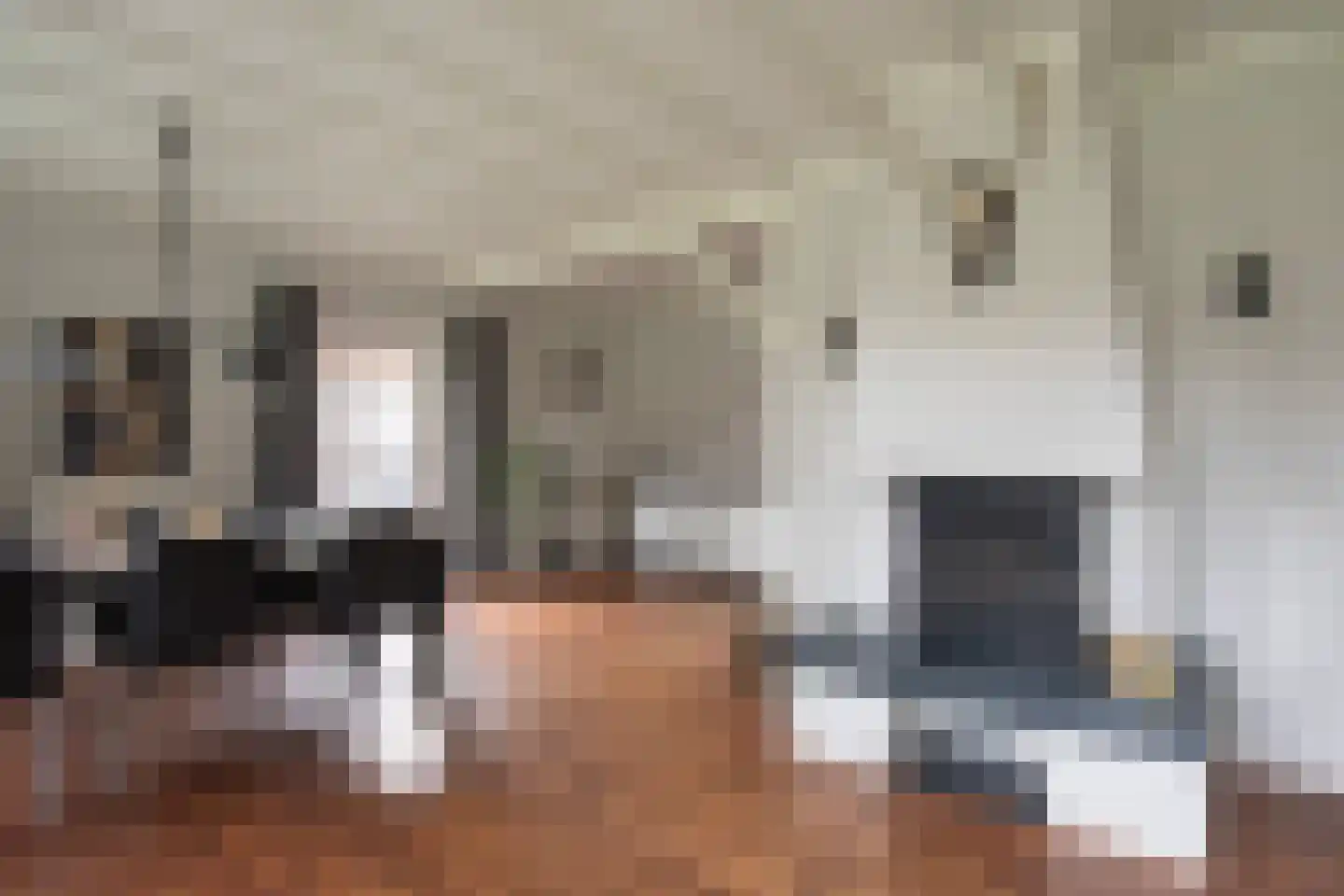 Damweg 5 Zwartebroek thumbnail 8