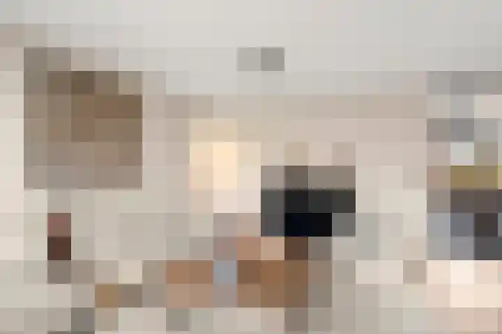 Damweg 73 Zwartebroek thumbnail 16