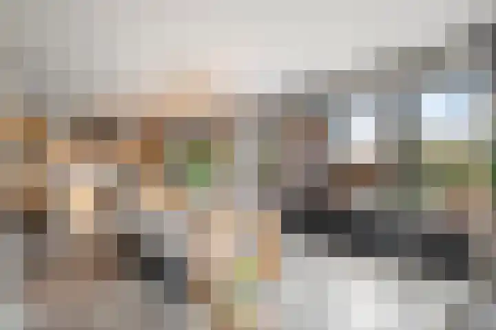Damweg 73 Zwartebroek thumbnail 19