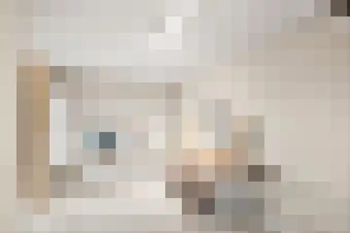 Damweg 73 Zwartebroek thumbnail 34