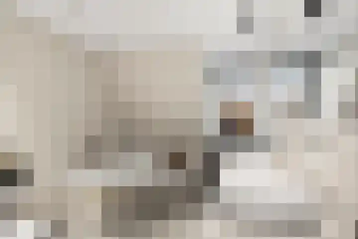 Damweg 73 Zwartebroek thumbnail 40