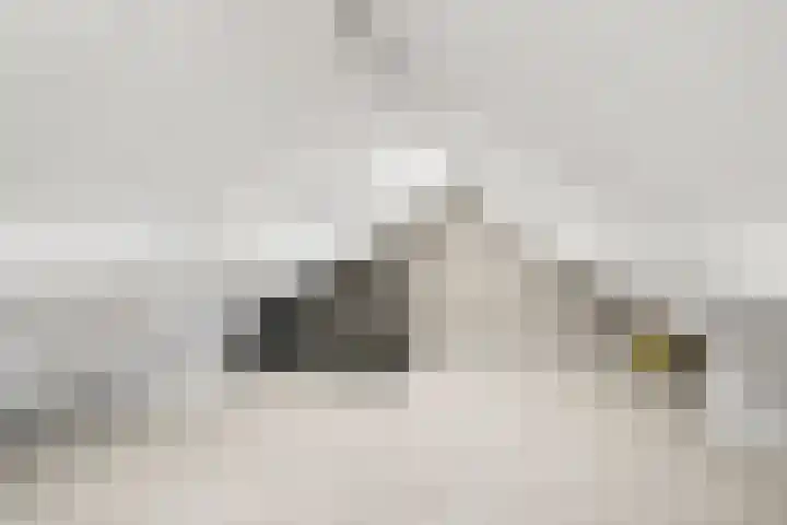Damweg 73 Zwartebroek thumbnail 45