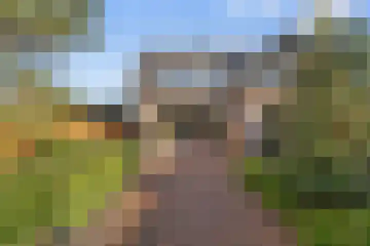 Damweg 73 Zwartebroek thumbnail 46