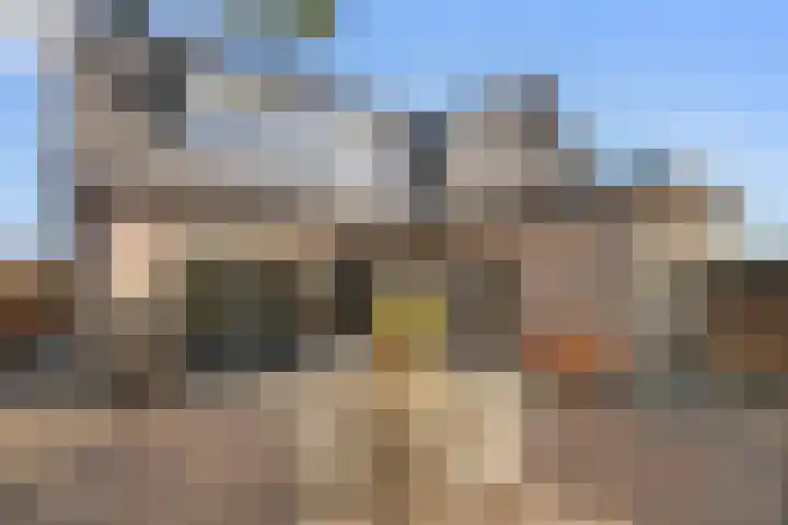 Damweg 73 Zwartebroek thumbnail 47