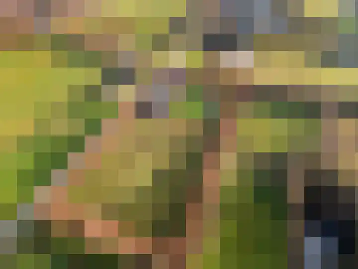 Damweg 73 Zwartebroek thumbnail 5