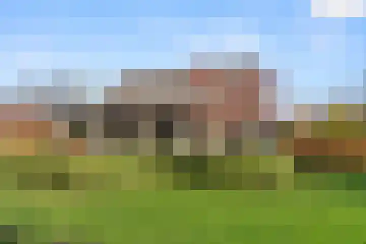 Damweg 73 Zwartebroek thumbnail 50