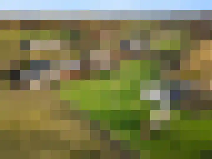 Damweg 73 Zwartebroek thumbnail 6