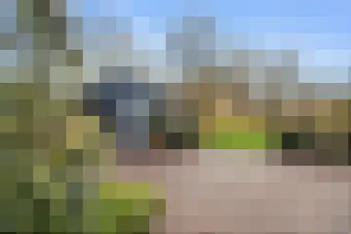 Damweg 73 Zwartebroek thumbnail 63