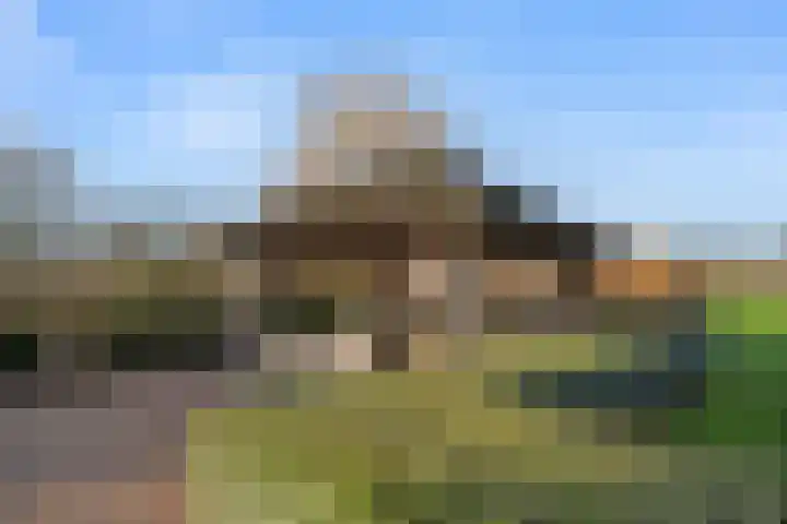 Damweg 73 Zwartebroek thumbnail 65