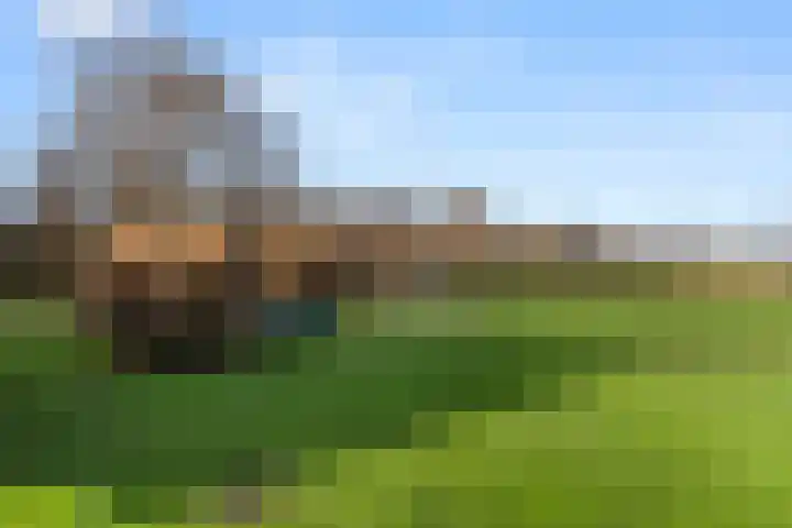 Damweg 73 Zwartebroek thumbnail 66