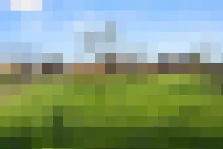 Damweg 73 Zwartebroek thumbnail 67