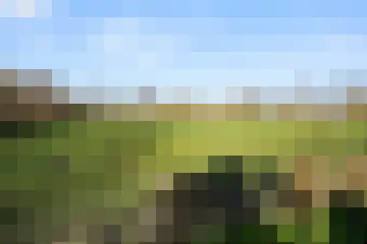 Damweg 73 Zwartebroek thumbnail 68
