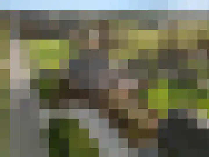 Damweg 73 Zwartebroek thumbnail 7