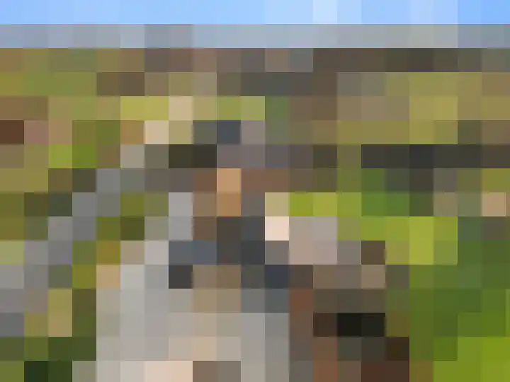 Damweg 73 Zwartebroek thumbnail 70