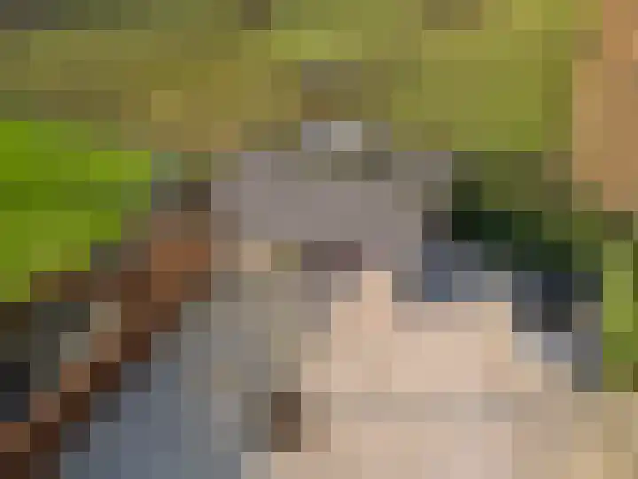 Damweg 73 Zwartebroek thumbnail 72