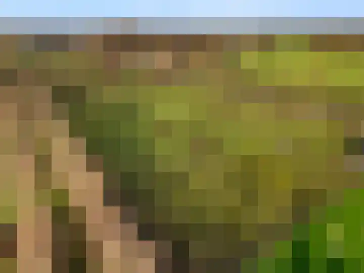 Damweg 73 Zwartebroek thumbnail 73