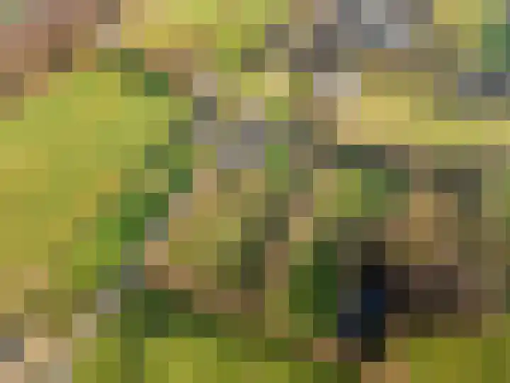 Damweg 73 Zwartebroek thumbnail 76