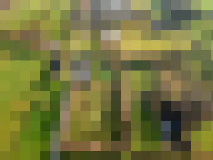 Damweg 73 Zwartebroek thumbnail 77
