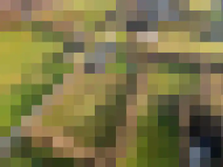 Damweg 73 Zwartebroek thumbnail 78