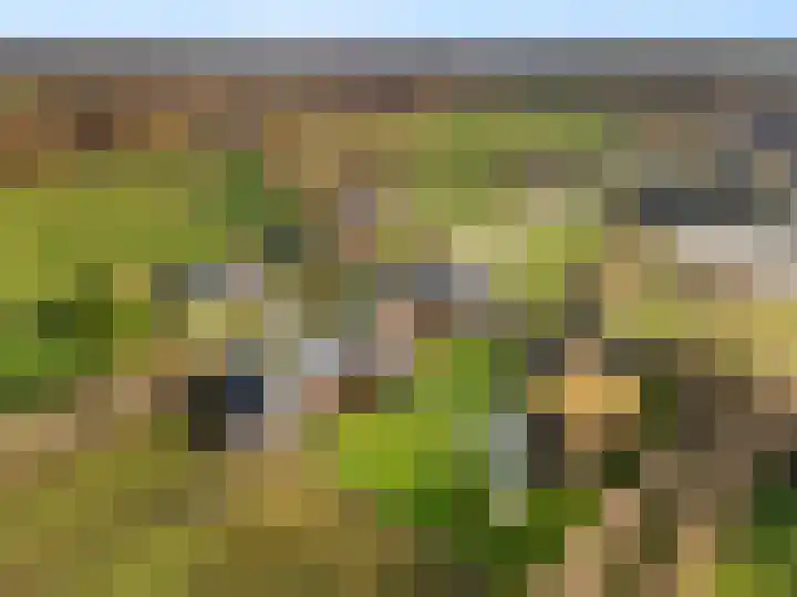 Damweg 73 Zwartebroek thumbnail 79