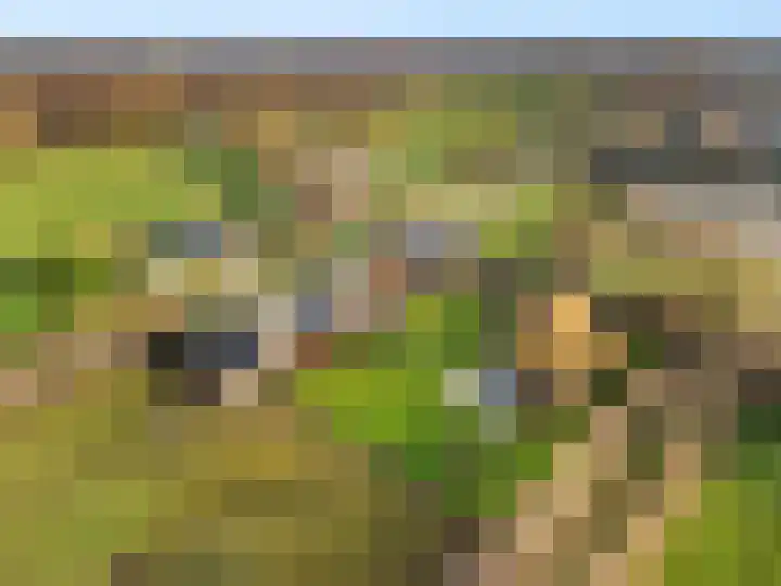 Damweg 73 Zwartebroek thumbnail 80