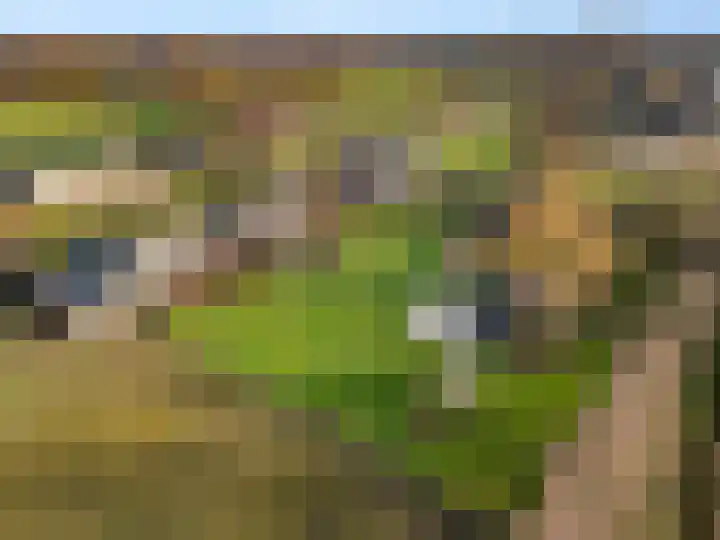 Damweg 73 Zwartebroek thumbnail 81