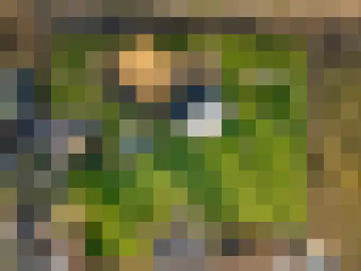 Damweg 73 Zwartebroek thumbnail 82